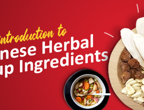 Popular Chinese Herbal Soup Ingredients to Know About
